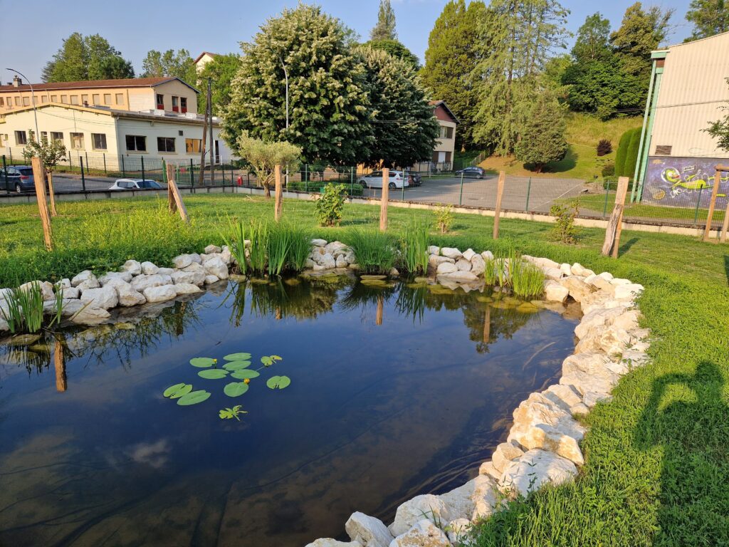 création d'un bassin aquatique et de son aménagement extérieur avec clôture de protection