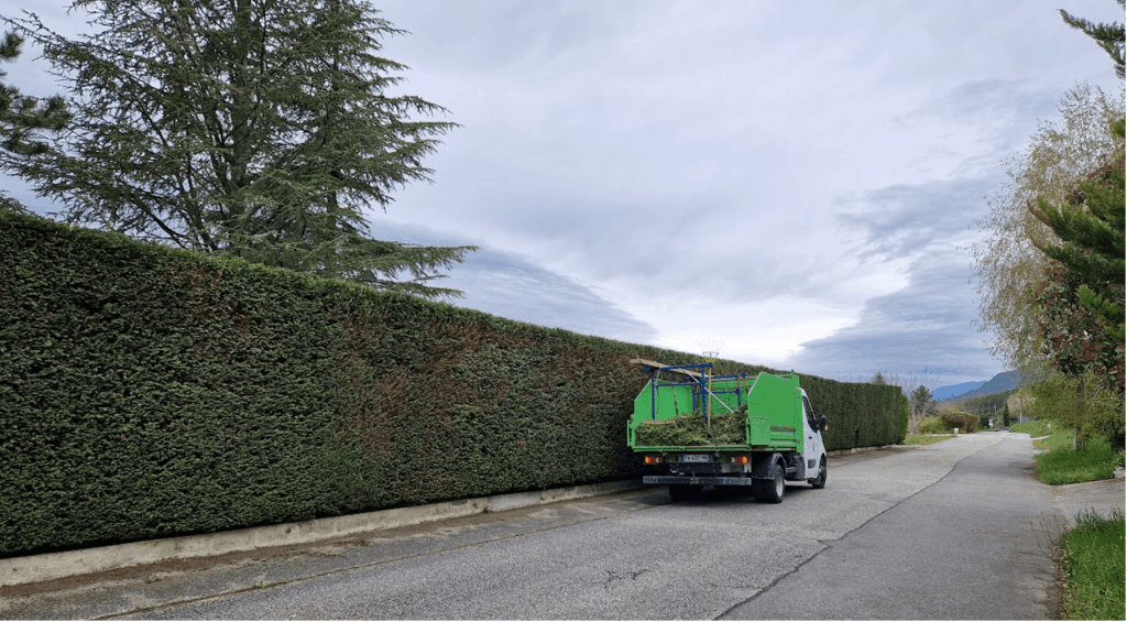 taille d'une haie par Paysages N'Co