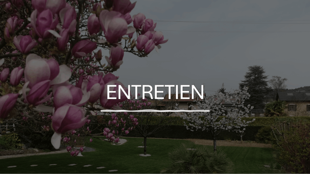 entretien de gazon, haie, arbre, taille d'arbustes, etc. en Savoie (73), Haute-Savoie (74) et Ain (01)
