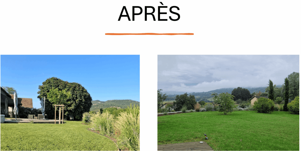 rendu du terrain une fois le nouveau gazon planté et qui a commencé à lever