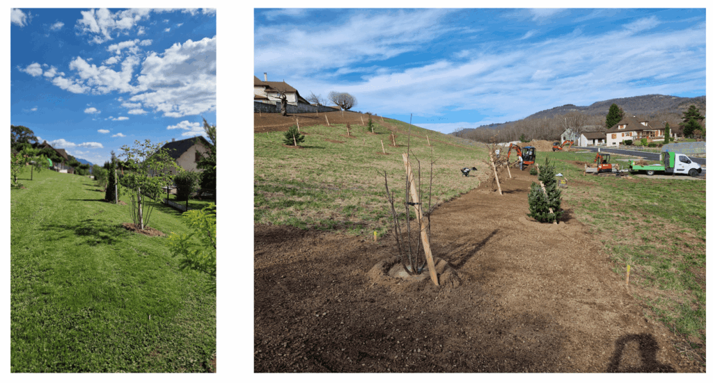 exemples de plantations d'un massif végétal