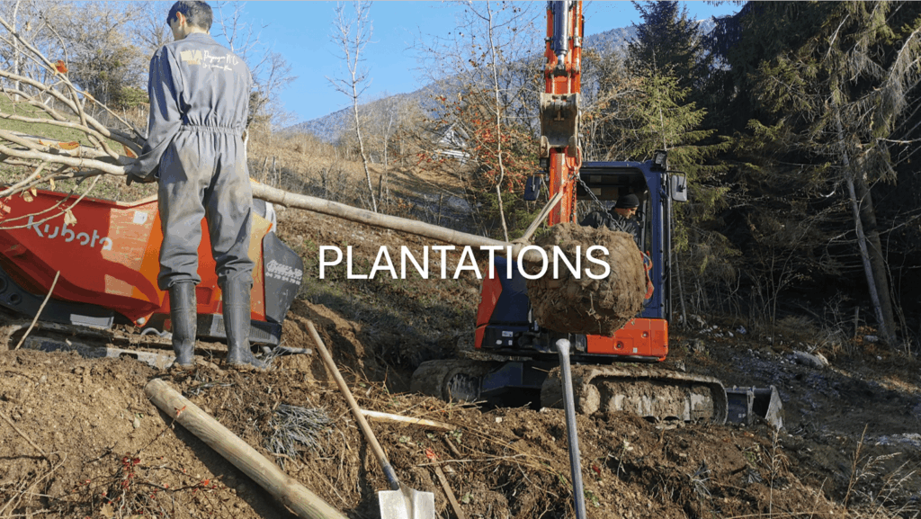 plantation d'arbres ou création de haies en Savoie (73), Haute-Savoie (74) et Ain (01)